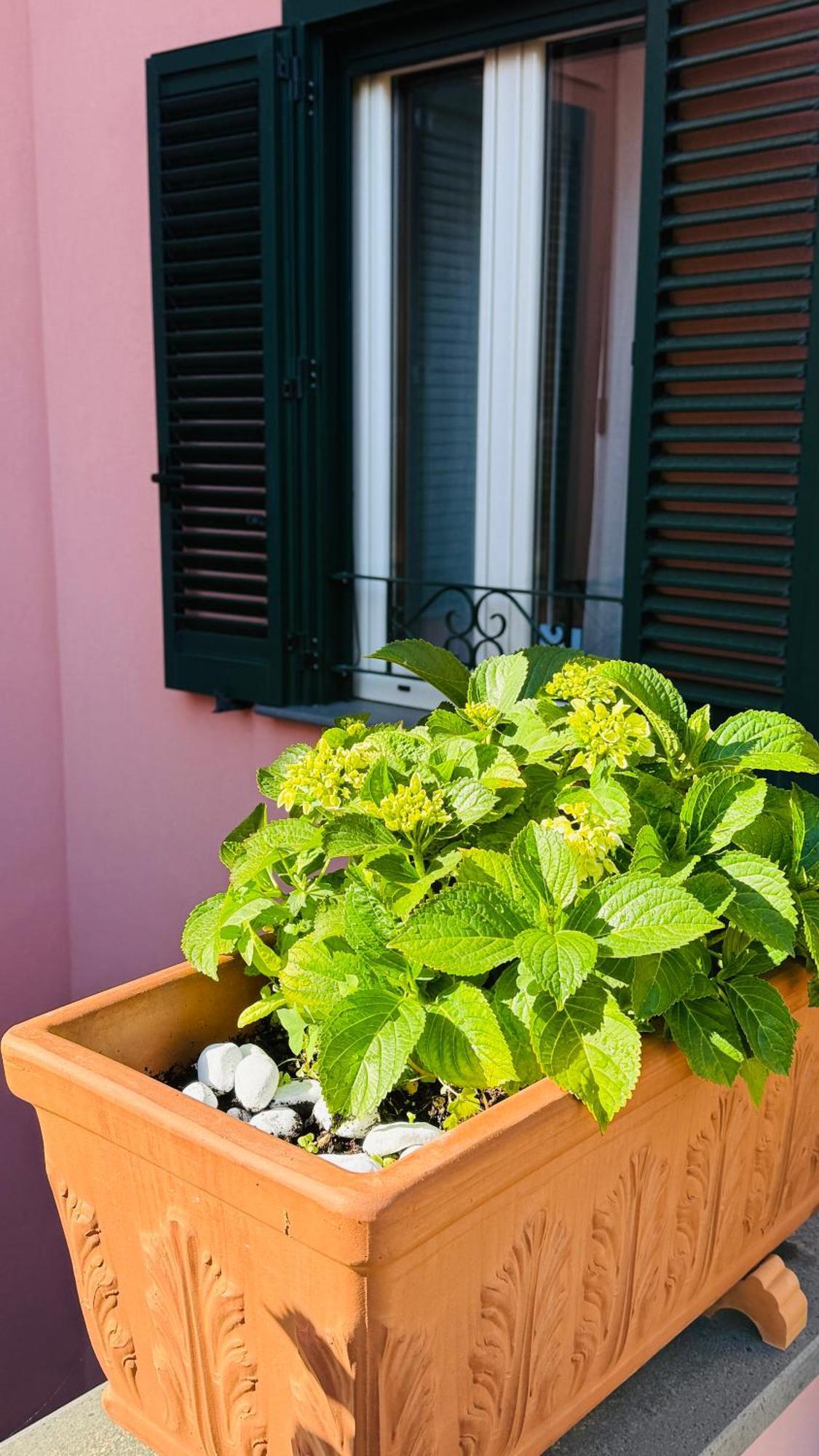 La Maison Rose Maiori Zewnętrze zdjęcie